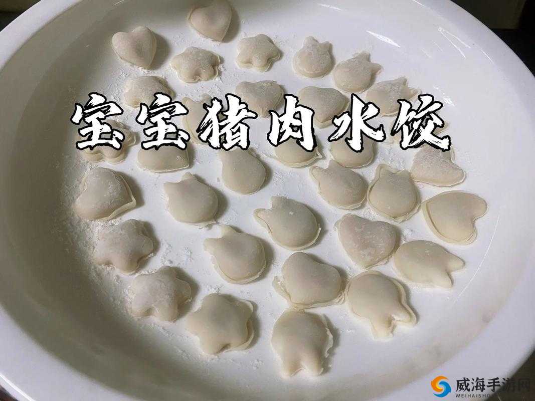 课后辅导 po 肉馅小水饺：美味的制作过程