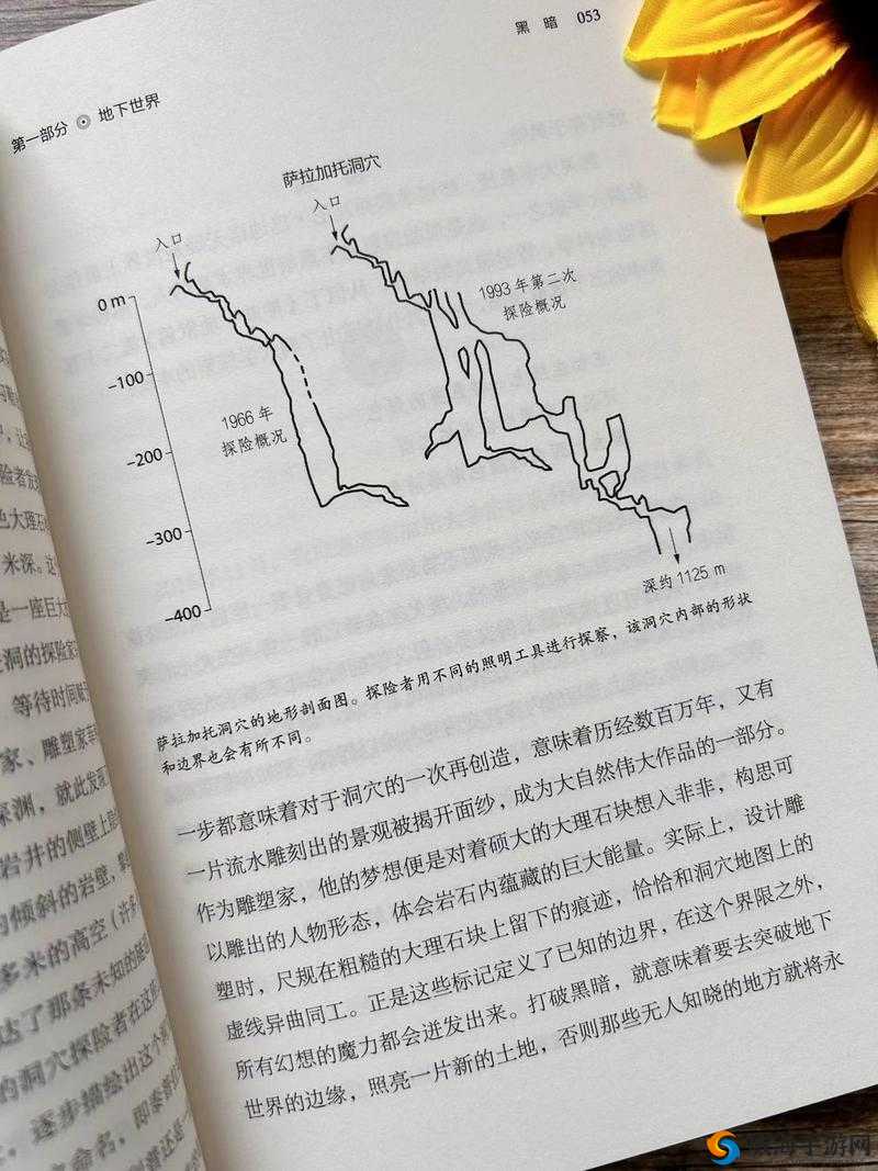 手从小腹开到丛林处：探索未知之旅