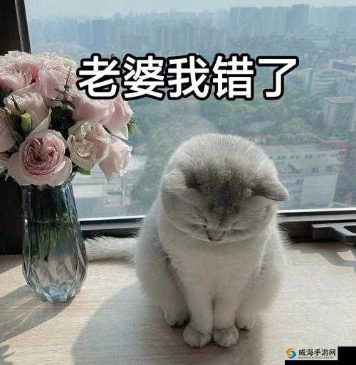 主人我错了能不能关掉开关：卑微的请求