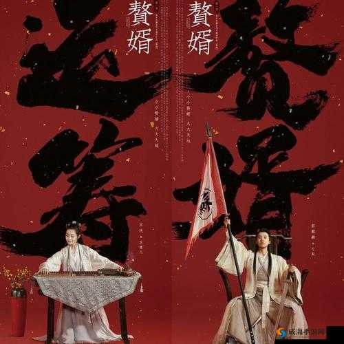 星空无限传媒在线观看电视剧赘婿-冫精彩呈现