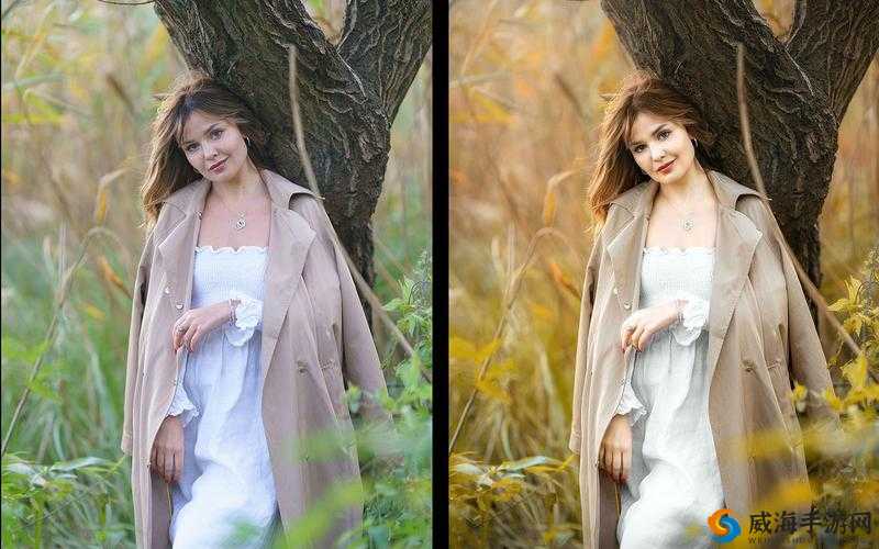免费Ps 一二级调色大片：呈现极致视觉盛宴