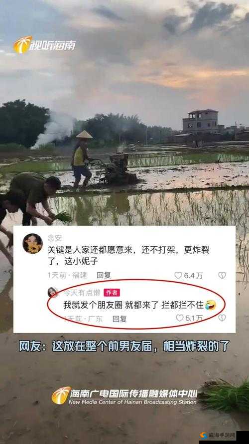 男友说想插秧了怎么回复：女生的巧妙回应