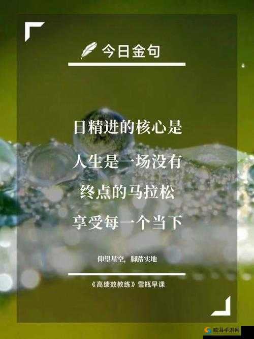 日日精进久久为功：持续努力成就辉煌