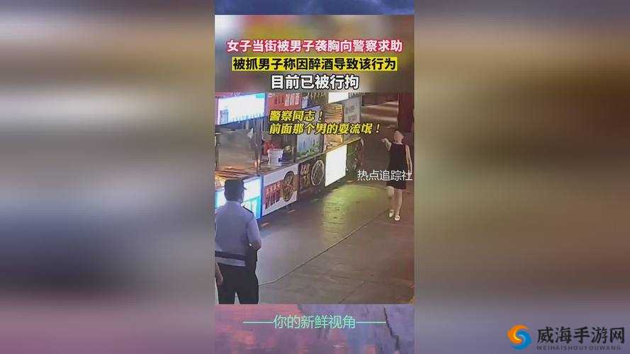 JAVA 代码之：人狗大战