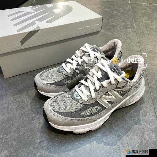 990v6 美版和亚洲版哪个贵：差异与价格解析