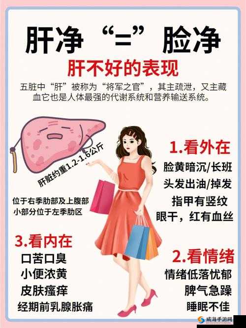 办公室强肝最后：谁是最强者