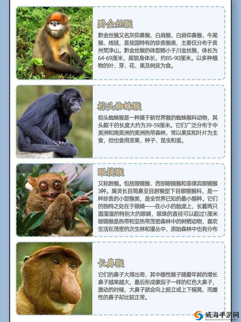 女生和男生一起生猴猴子：一起迎接新生命