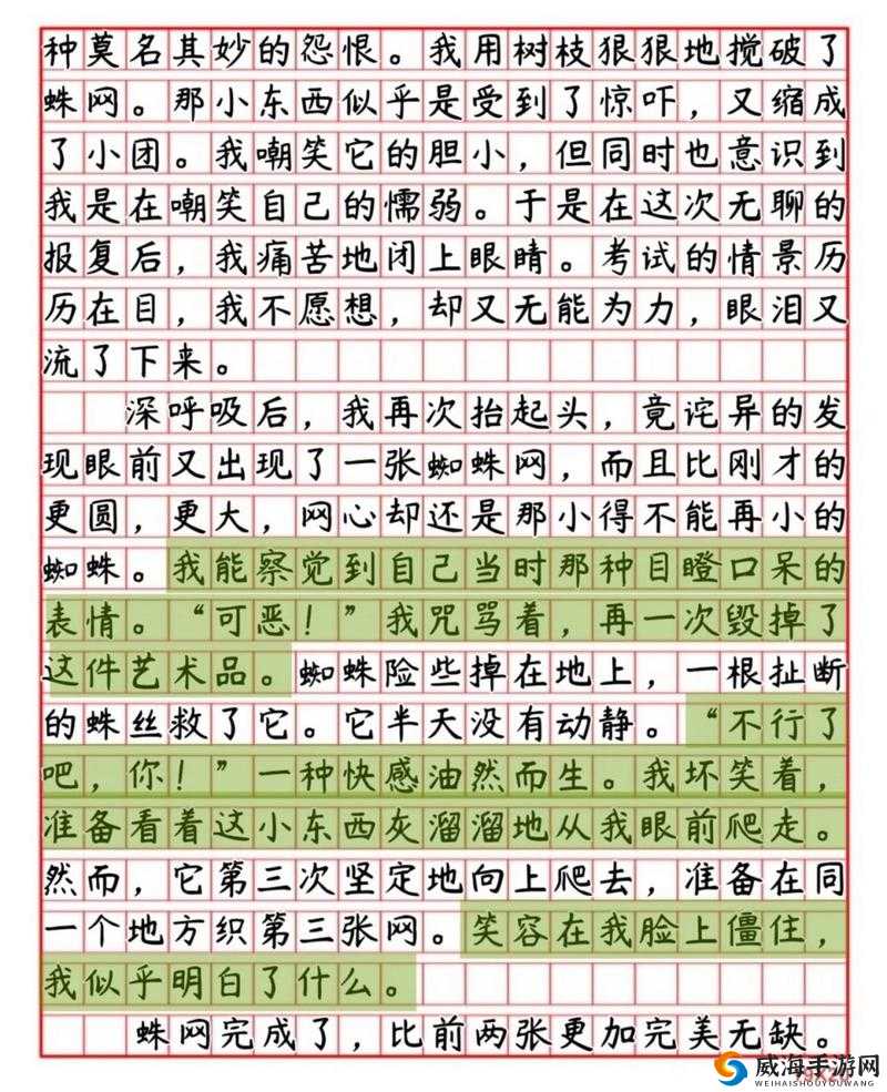 缁块噹濂囩紭 40：探秘其独特魅力