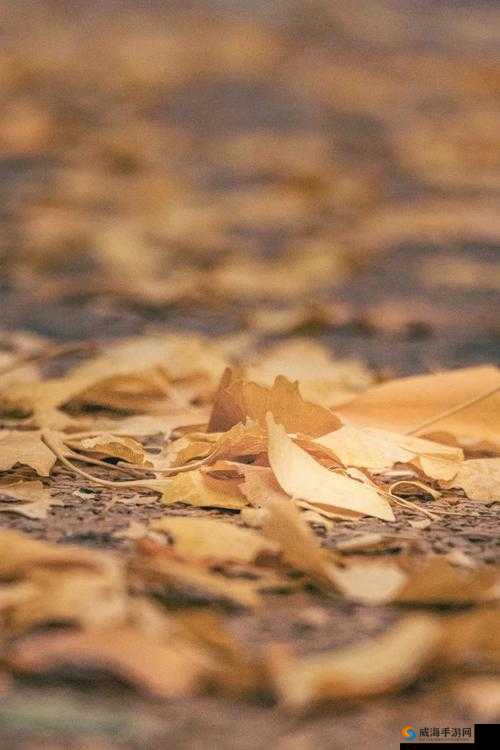 缇炵緸婕鐢荤櫥褰曢〉闈㈠厤璐规极鐢荤牬瑙ｇ増鍏ュ彛椤甸潰之特点解析