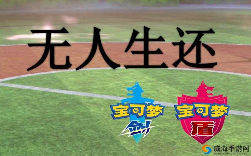 锲藉栫簿浜у搧 W 鐏婧愮爜 16 相关介绍