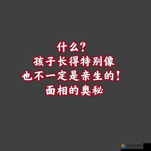 鍗婂滆呯潯閰嶅悎鍗佸叚瀛╁瓙：探索其奥秘