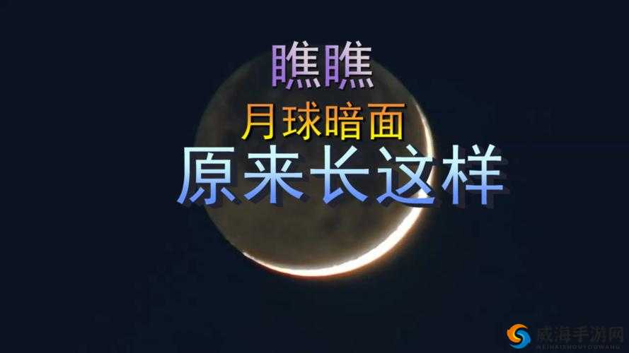 闈犳瘮杈冭蒋浠朵笅杞藉ぇ鍏╝pp 缃戠珯- 鍦ㄨ蒋浠朵笅杞藉ぇ瀹樻柟