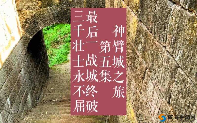 涓鍓嶄竴鍚庝笁涓浜鸿疆鎹㈢殑：探究背后原因