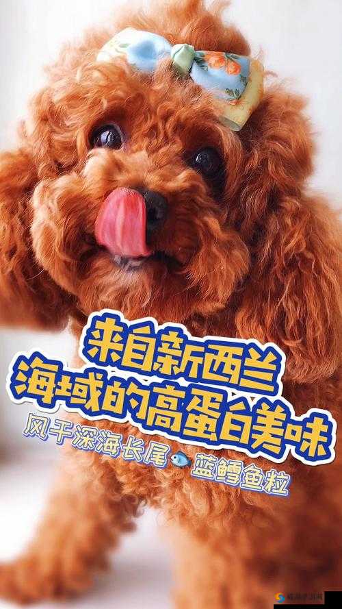 闊╁浗VS鏃ユ湰VS缇庡浗VS淇勭綏鏂浠婃棩棣栧彂鏂扮帺娉曢忛湶：体育赛事的激情碰撞