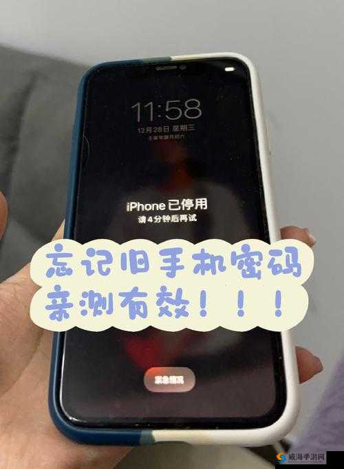 鑰佸叕缁忓父鍦ㄦ垜鍋氶キ鐨勬椂鍊欐姳鎴戣繘鍏：探索之旅