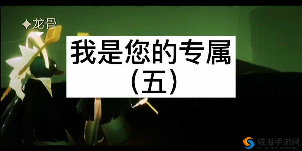 瑗挎佸コ鍥藉墽鎯呭栧姳之解析