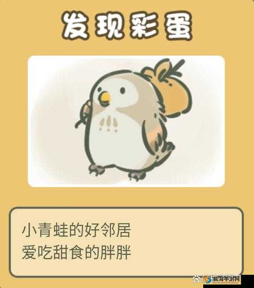 旅行青蛙的中国之旅与猫头鹰胖胖的饮食习惯