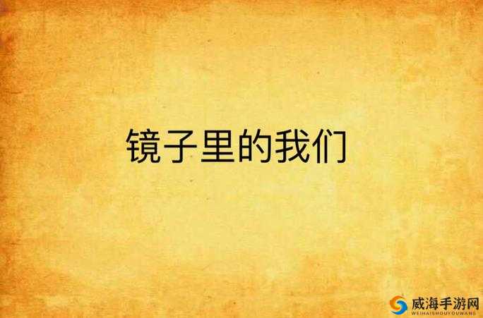 镜子里的我们：结合的模样