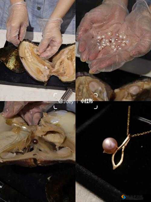男女开蚌取珠：一场奇妙的珠饰之旅