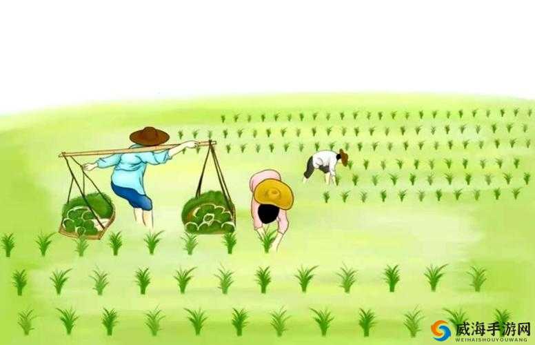 情侣插秧姿势参考绘画：独特的农耕艺术