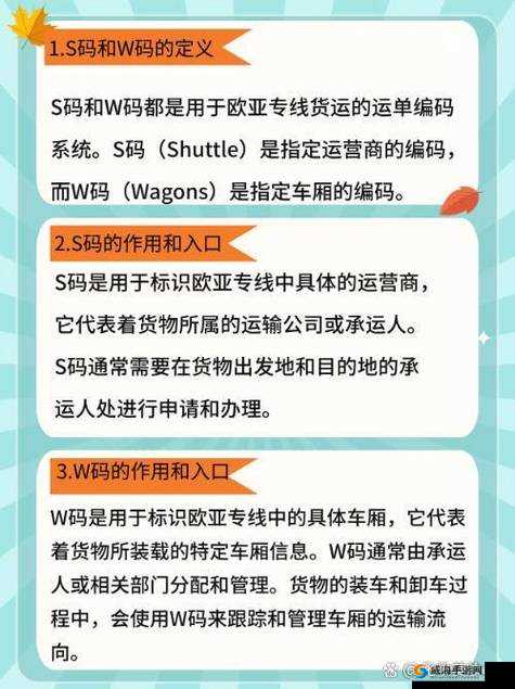 欧亚专线欧洲 W 码:专属通道的神秘之旅