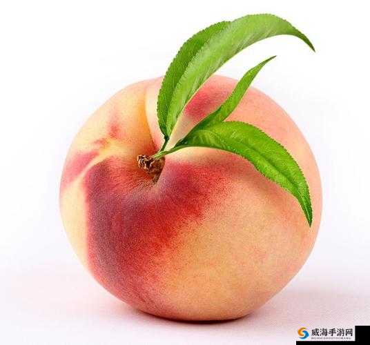 精美日产 NV 二线三线水蜜桃：口感绝佳的水果