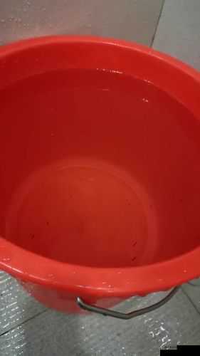 小东西几天不见水一般几天恢复:探究其背后原因