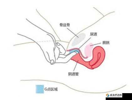 怎样弄自己的喷泉视频教程
