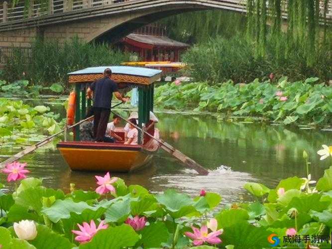 老人船上弄雨荷第 13 集介绍之精彩看点