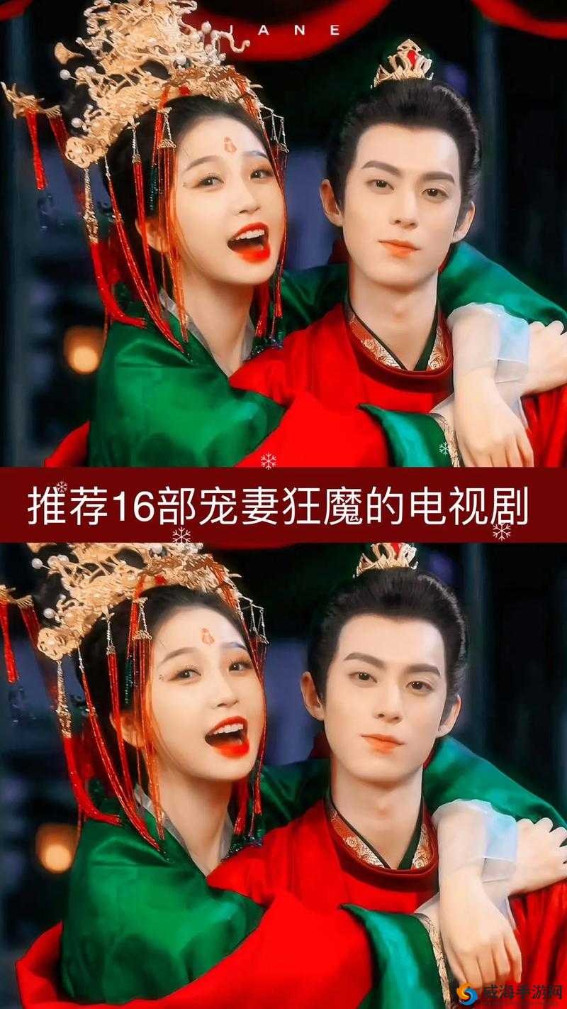 适合夫妻一起看的电视剧推荐：这些剧超棒