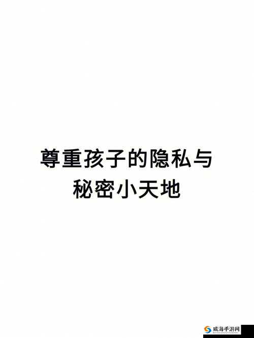 12 岁隐私能放几支笔：探寻背后的秘密