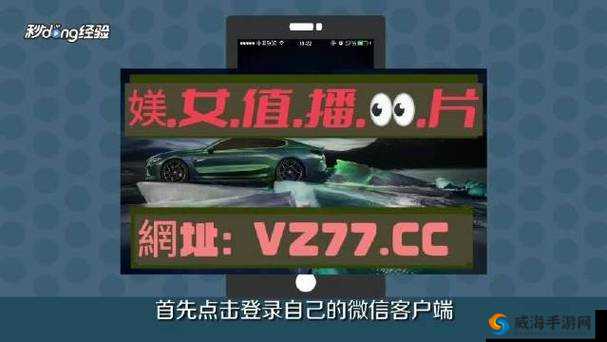 欧亚专线欧洲S码WMY不知所措：探寻其背后的秘密