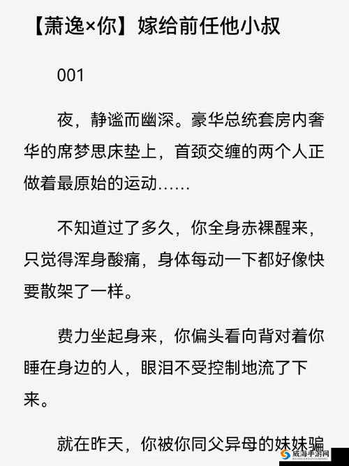 我的小叔前任暮色旧歌小说：那段难忘的情感往事