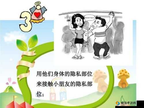 六年级女生隐私：笔可塞几支的探讨