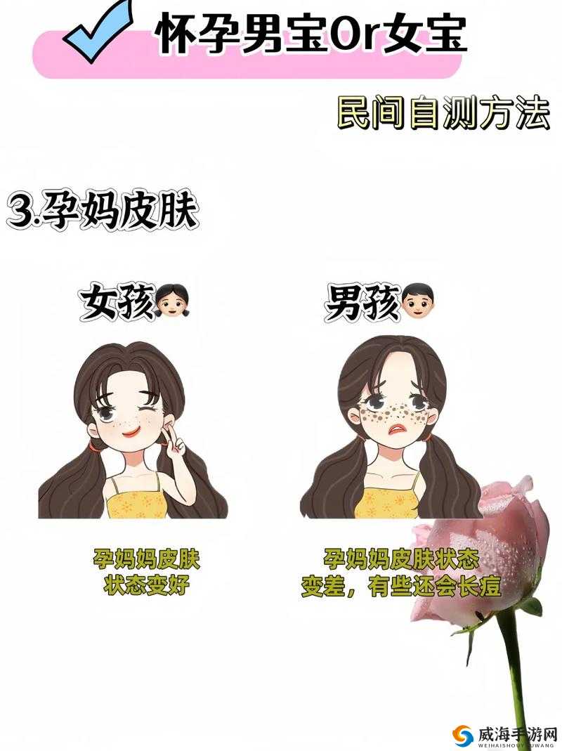 gogogo 是免费的还是仿？快来了解