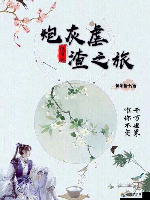 穿越需 jy 才能活阮甜：奇妙之旅开启