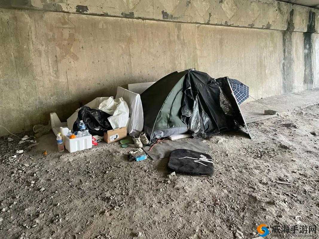 桥下将自己贡献给乞丐免费阅读：奉献之举引关注