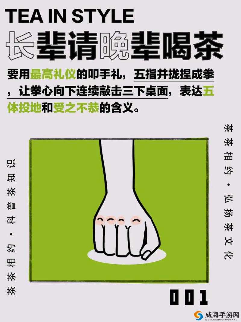 揭秘扣对象正确手势图：详细解读手势奥秘