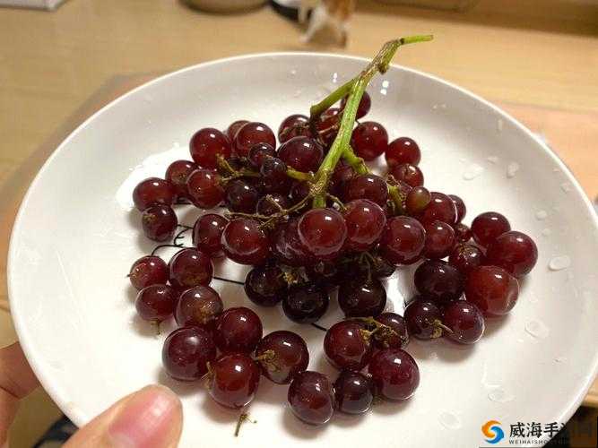 对着镜子把葡萄一粒粒：独特的行为观察