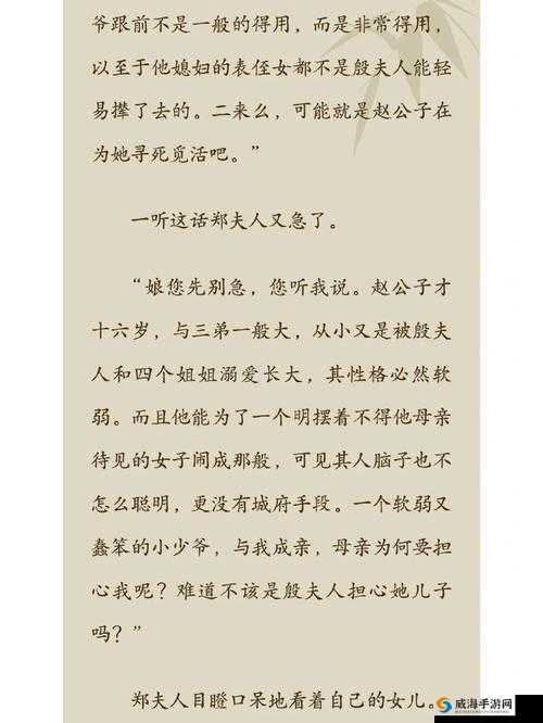 公府佳媳陆丰的 CP：张三