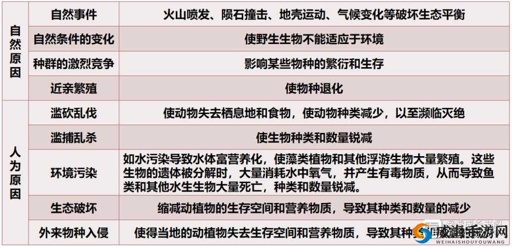 晚上父母房间有黏水声是怎么了：原因探究