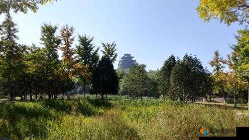 黄台隐藏入口相关内容及探讨