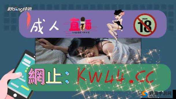 成年人 APP 网站：畅享精彩成年人内容