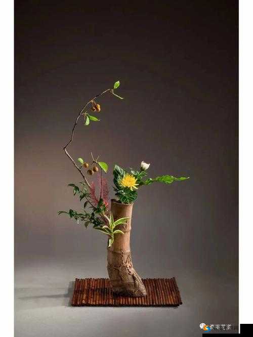 双阳插花芯：探寻传统文化之美