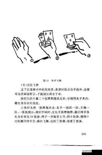 美国老师 xx18：揭秘打扑克的奥秘