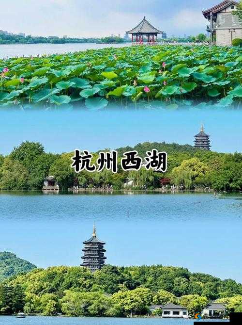 亚欧一二三四专区口：带你领略亚欧文化的魅力