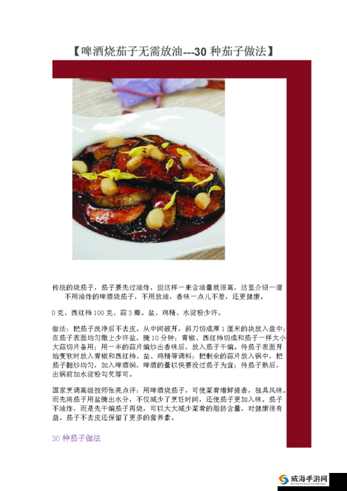 油闷茄子烹饪全攻略：做法详解烹饪时间售价览，吃货必看的茄子美食教程