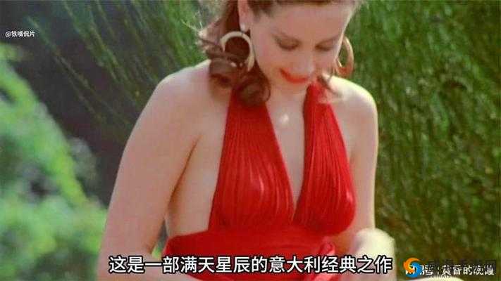 肥熟老妇 500 部：经典之作，不容错过