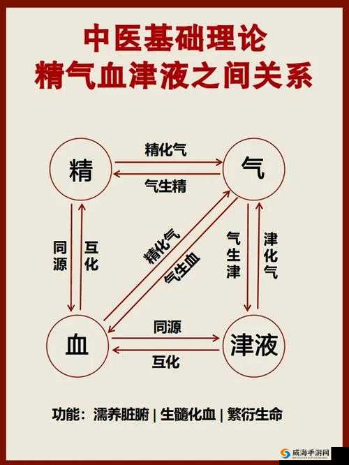 探索精二与精三区别要点