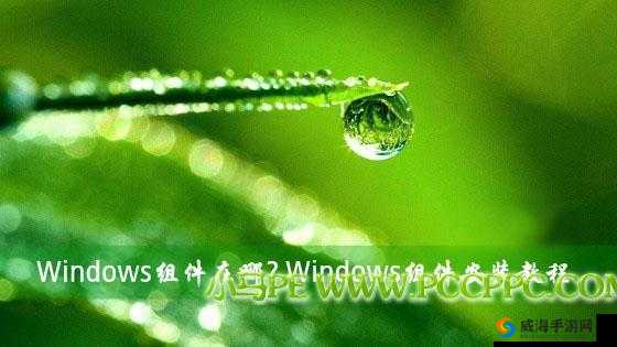 在线 windows 永久免费版：纯净绿色免激活